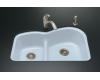 Kohler Woodfield K-5839-5U-6 Skylight Smart Divide Undercounter Kitchen Sink