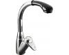 Kohler ProAvatar K-6340-BP-CP Polished Chrome Single Control Kitchen Pull-Out Faucet with Black Sprayhead