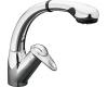 Kohler Avatar K-6350-CP Polished Chrome Pull-Out Kitchen Faucet