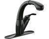 Kohler Avatar K-6352-7 Black Black Pull-Out Kitchen Faucet