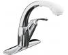 Kohler Avatar K-6352-AP-CP Polished Chrome Pull-Out Kitchen Faucet with White Sprayhead