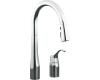 Kohler Simplice K-647-CP Polished Chrome Pull-Out Kitchen Faucet