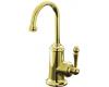 Kohler K-6666-F-PB Wellspring Vibrant Polished Brass Beverage Faucet with Water Filter System