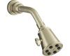 Kohler IV Georges Brass K-6812-BN Brushed Nickel Showerhead, Arm and Flange