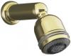 Kohler MasterShower K-8507-PB Polished Brass Relaxing 3-Way Showerhead