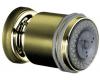 Kohler MasterShower K-8510-AF French Gold Ultra-Low Flow 2-Way Adjustable Bodyspray