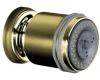 Kohler MasterShower K-8510-PB Polished Brass Ultra-Low Flow 2-Way Adjustable Bodyspray