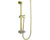 Kohler MasterShower K-8516-AF French Gold Wall-Mount Shower Slidebar Kit