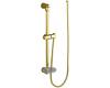 Kohler MasterShower K-8516-PB Polished Brass Wall-Mount Shower Slidebar Kit