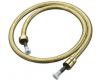 Kohler MasterShower K-8593-PB Polished Brass 72" Metal Shower Hose with Swivel Base