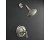 Kohler Forte K-T10276-4A-BN Brushed Nickel Rite-Temp Pressure Balancing Shower Trim with Lever Handles