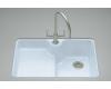 Kohler Carrizo K-6495-1U-6 Skylight Undercounter Kitchen Sink with Single-Hole Faucet Drilling and Installation Kit