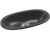 Kohler Iron/Tones K-6497-7 Black Black 22" Trough Sink