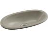 Kohler Iron/Tones K-6497-K4 Cashmere 22" Trough Sink