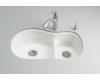 Kohler Iron/Tones K-6498-0 White Smart Divide Offset Kitchen Sink