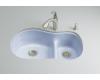 Kohler Iron/Tones K-6498-6 Skylight Smart Divide Offset Kitchen Sink