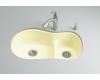 Kohler Iron/Tones K-6498-Y2 Sunlight Smart Divide Offset Kitchen Sink