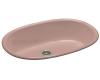 Kohler Iron/Tones K-6499-45 Wild Rose Large Single Basin Kitchen Sink