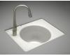 Kohler Tandem K-6654-1LU-FP Caviar Undercounter Cast Iron Utility Sink