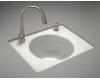 Kohler Tandem K-6654-2LU-RR Ember Undercounter Cast Iron Utility Sink