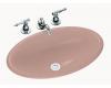 Kohler Vintage K-2220-45 Wild Rose Self-Rimming Lavatory