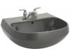 Kohler Wellworth K-2296-4-58 Thunder Grey Lavatory Basin with 4" Centers