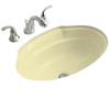 Kohler Leighton K-2341-Y2 Sunlight Undercounter Lavatory