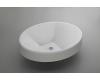 Kohler Inscribe K-2390-0 White Oval Cast Iron Wading Pool Lavatory