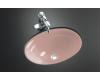 Kohler Serif K-2824-45 Wild Rose Undercounter Lavatory