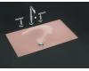 Kohler Iron/Tones K-2826-45 Wild Rose Cast Iron 24-3/4" X 15-5/8" Undercounter/Self-Rimming Lavatory