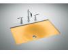 Kohler Iron/Tones K-2826-KE Vapour Orange Cast Iron 24-3/4" X 15-5/8" Undercounter/Self-Rimming Lavatory