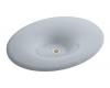 Kohler Fountainhead K-2829-P5-FE Frost Vessels 25" Lavatory