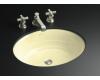 Kohler Garamond K-2832-Y2 Sunlight Undercounter Lavatory