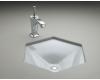 Kohler K-2836-45 Wild Rose Votive Cast Iron Undercounter Lavatory