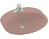 Kohler Providence K-2929-1-45 Wild Rose Self-Rimming Lavatory with Single-Hole Faucet Drilling