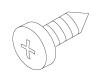 Kohler 1048208-B Part - Blue (Primary Toilet Seat) Screw- 8-18 Sunrise X .38" Cr Pan Hd Tap S