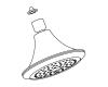 Kohler 1141864-BN Part - Showerhead Assembly