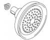 Kohler 1017569-AF Part - Showerhead Assembly