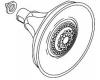 Kohler 1022256-BRZ Part - Showerhead Assembly