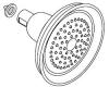 Kohler 1034712-AF Part - Showerhead Assembly