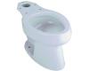 Kohler Wellworth K-4273-6 Skylight Elongated Toilet Bowl
