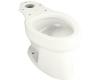 Kohler Wellworth K-4276-L-0 White Elongated Toilet Bowl with Bedpan Lugs