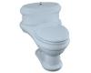 Kohler Revival K-3360-6 Skylight One-Piece Elongated Toilet with Toilet Seat and Polished Chrome Lift Knob and Hinges