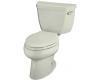 Kohler Wellworth K-3432-TR-NG Tea Green Elongated Toilet with Right-Hand Trip Lever and Tank Cover Locks