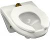 Kohler Kingston K-4330-L-0 White Wall-Hung Bowl with Top Spud and Bedpan Lugs