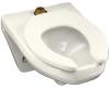 Kohler Kingston K-4330-L-96 Biscuit Wall-Hung Bowl with Top Spud and Bedpan Lugs