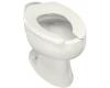 Kohler Wellcomme K-4349-L-0 White Elongated Toilet Bowl with Rear Spud and Bedpan Lugs