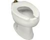 Kohler Wellcomme K-4350-0 White Elongated Toilet Bowl with Top Spud
