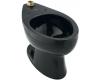 Kohler Wellcomme K-4350-7 Black Black Elongated Toilet Bowl with Top Spud