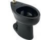 Kohler Highcliff K-4368-7 Black Black Elongated Toilet Bowl with Top Spud